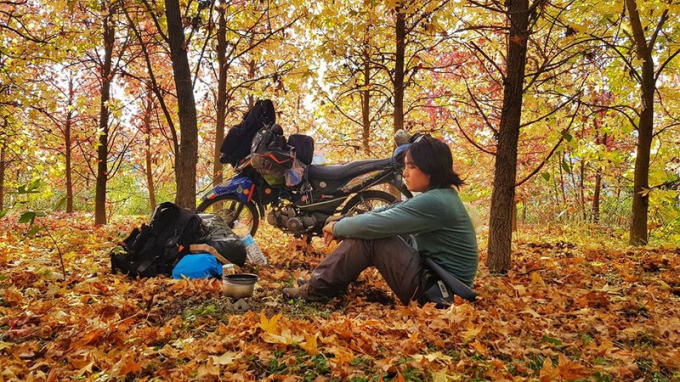 Phút nghỉ ngơi bên một cánh rừng mùa thu vàng ở Nga.