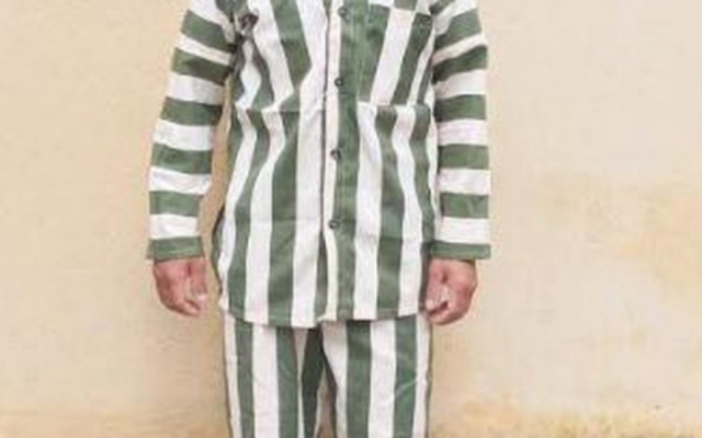 Gia Lai: Đối tượng chủ mưu trong vụ ph&aacute; rừng huyện K'Bang ra đầu th&uacute;