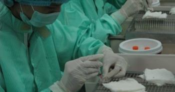 Chuyên gia nói về chủng virus mới khiến COVID-19 lây lan nhanh