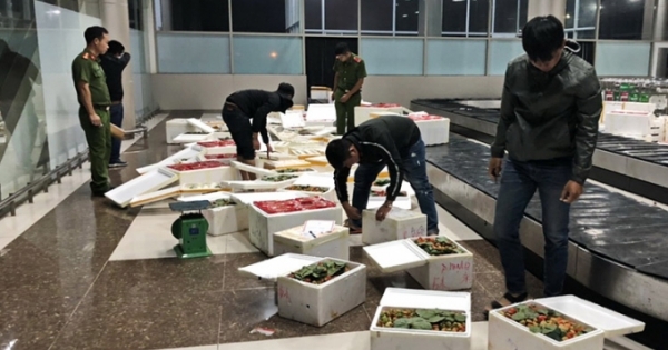 Dâu tây Trung Quốc tuồn lên Đà Lạt có dư lượng thuốc trừ sâu cao gấp 3 lần