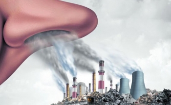 Công ty Lever Việt Nam bị đình chỉ hoạt động 90 ngày do vi phạm nghiêm trọng về môi trường