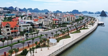 Mê mẩn với con đường đẹp nhất tỉnh Quảng Ninh