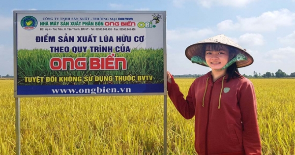 Những “Hạt Ngọc Trời” mang tên Ong Biển