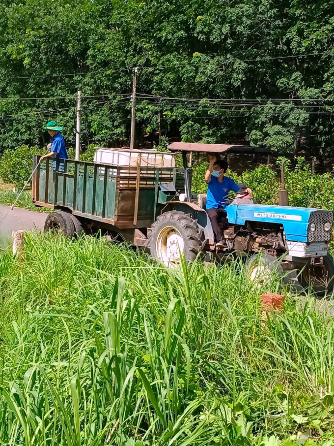 ĐVTN xã Tân Thành xịt thuốc diệt cỏ thuê để góp quỹ phòng chống dịch Covid-19 tại địa phương