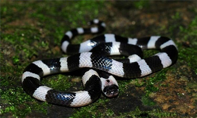 photo1538990641196-15389906411-8843-2789-1598328160