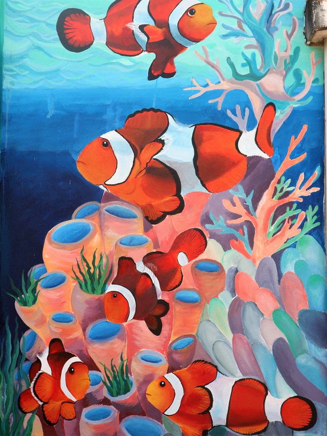 Nội dung trọng tâm về các loài sinh vật biển, con người, cảnh quan, cuộc sống thường ngày của người dân làng chài.