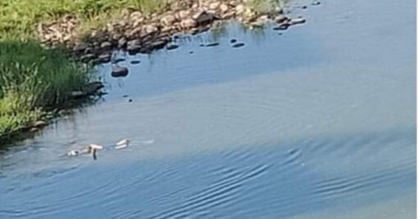 Quảng Ninh: Bàng hoàng phát hiện thi thể thiếu nữ trên sông