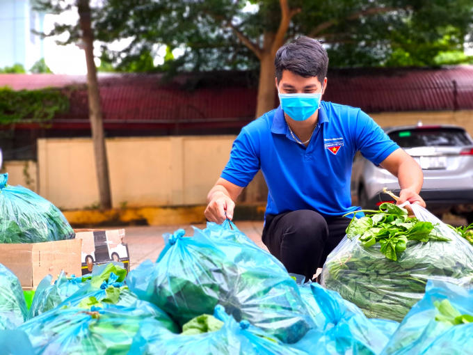 Những nhánh rau mồng tơi xanh mơn mởn được bạn trẻ Bình Phước khéo léo xếp vào từng túi nylon