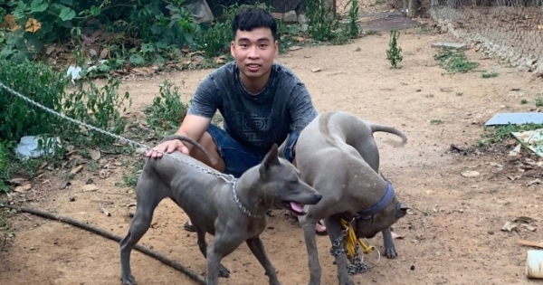 Chuyện về chàng bộ đội xa quê khởi nghiệp từ nghề nuôi chó