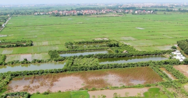 Những vi phạm đất đai tại xã Xuân Kiên, Xuân Hòa huyện Xuân Trường