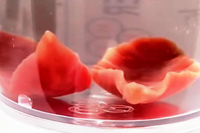 edf7a933dd71342f6d60