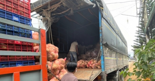 Khi lòng tốt bị lợi dụng