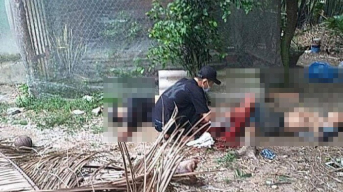 217593975_215573230454419_5992330845338532678_n