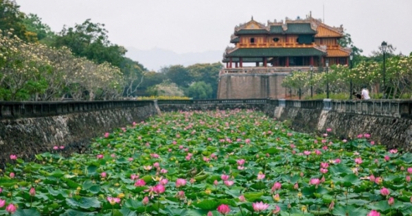 Những ngọn gió ngát hương…