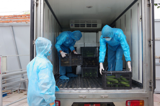 Chiến sỹ Vùng 2 Hải quân chuyển thực phẩm lên xe đến khu vực phong tỏa hỗ trợ nhân dân TP Vũng Tàu và huyện Nhơn Trạch.