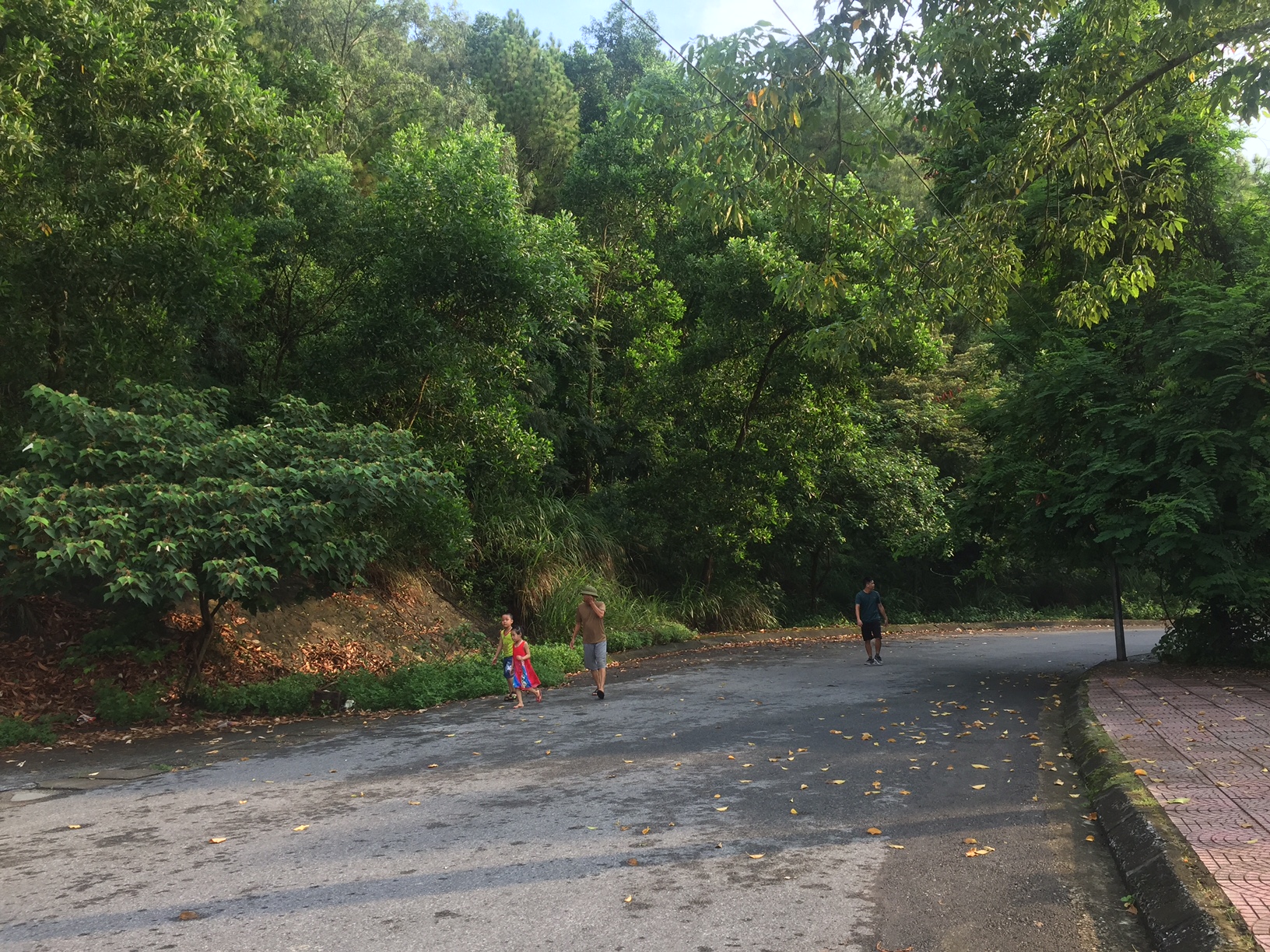 Công viên rừng Thiên Văn sẽ có dự án nhà ở, biệt thự với tổng đầu tư hơn 455 tỷ đồng.