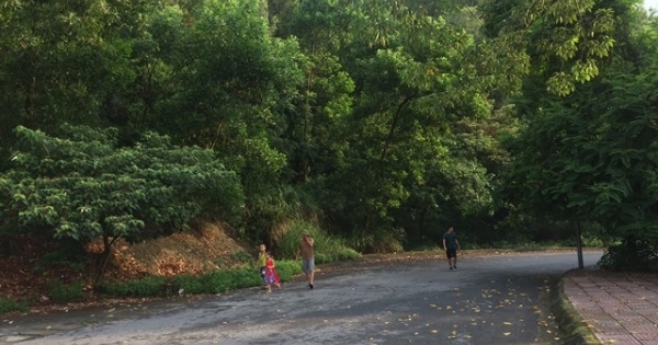 Lần đầu đấu thầu dự án kinh doanh 211 căn nhà, biệt thự tại Hải Phòng