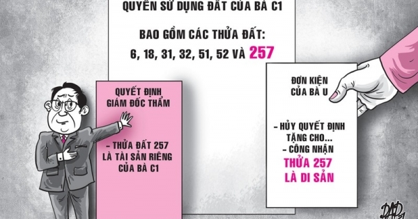 Dự thảo án lệ về hiệu lực hợp đồng tặng cho quyền sử dụng đất