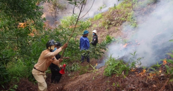 Hà Tĩnh: Người đàn ông bị chết cháy tại rừng keo của gia đình