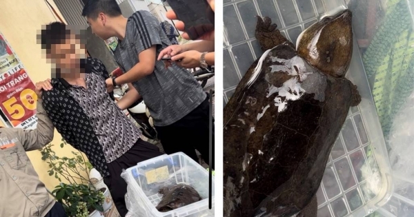 Quảng Ninh: Khởi tố đối tượng tàng trữ, mua bán trái phép động vật quý hiếm