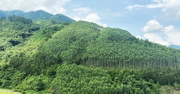 Mỏ đất san lấp của Công ty Hưng Thịnh Phát chưa chuyển mục đích sử dụng rừng