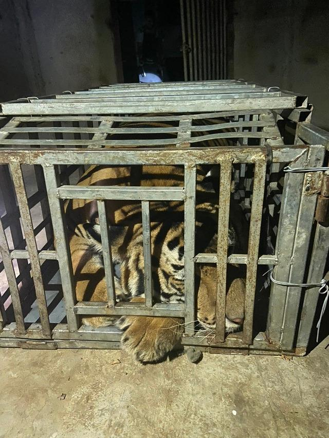 38dd28a09bed72b32bfc