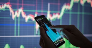 Vi phạm về công bố thông tin, Văn phòng phẩm Hải Phòng bị phạt 85 triệu đồng