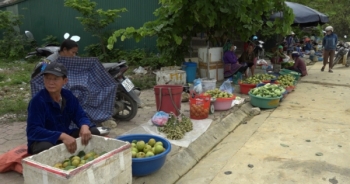 Si Ma Cai mùa quả ngọt