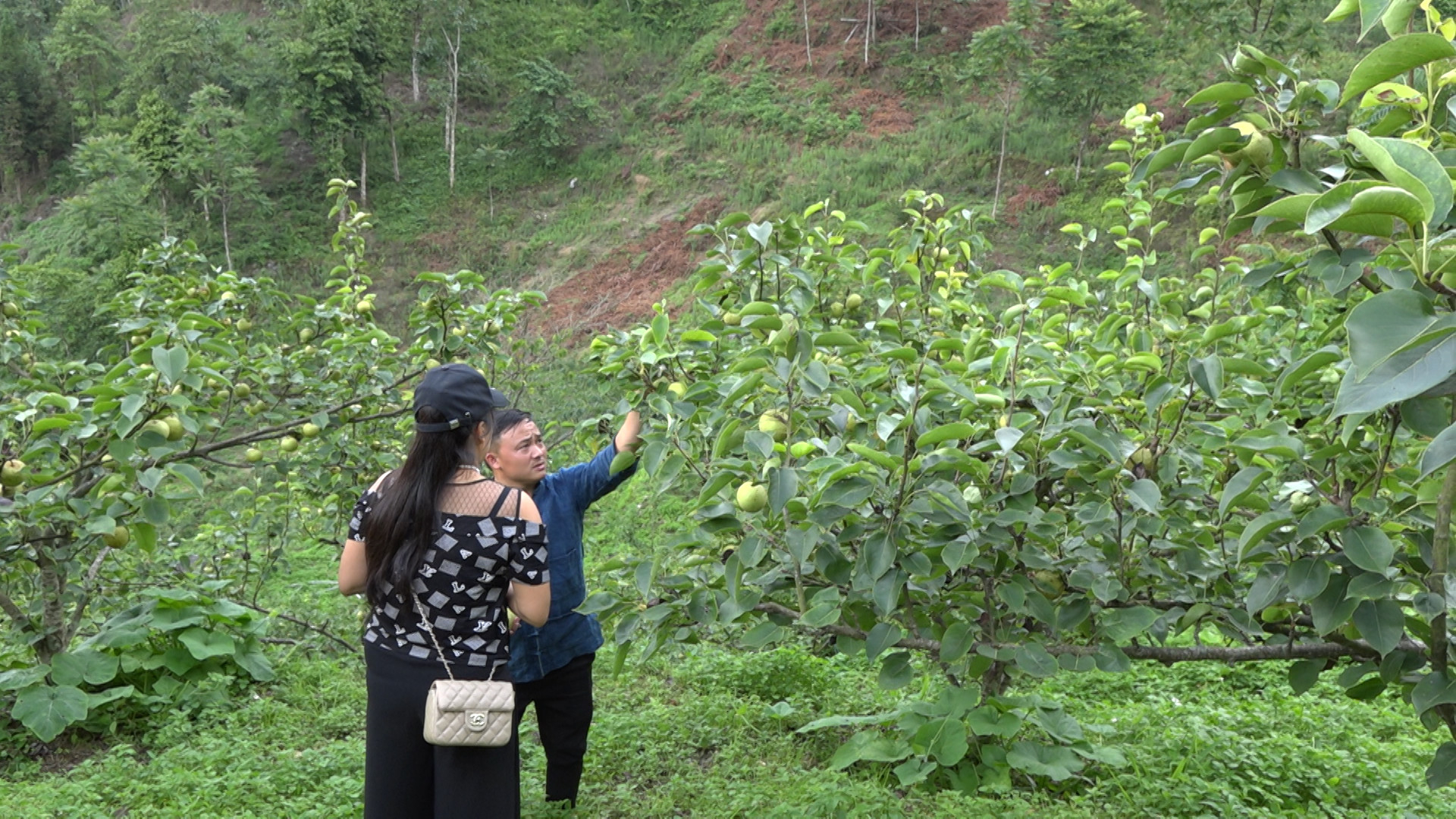 z4476454215954_c093c9bed8a92c085a087214bd4f92fb