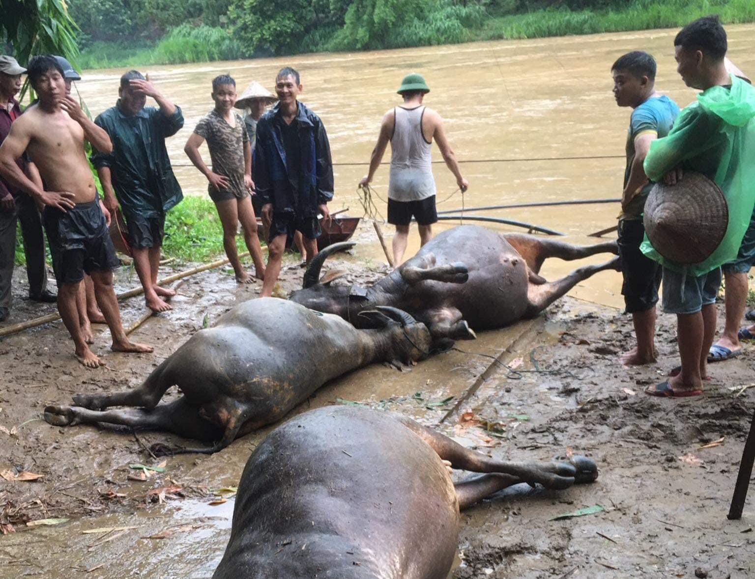 z4518188557569_f8a1d5478276b53e1f6e1139df0d8747