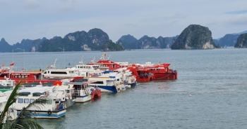 Quảng Ninh cấm biển do ảnh hưởng của bão số 1