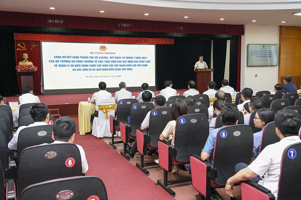 Thanh tra Bộ Công Thương chỉ ra nhiều vi phạm của EVN