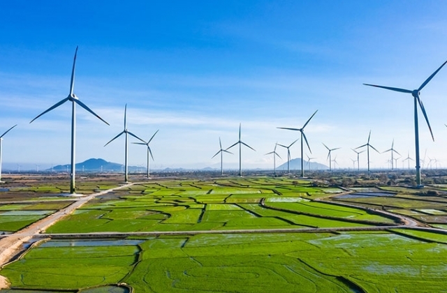 Đến ngày 1/6, có 63/85 dự án năng lượng tái tạo chưa có giá gửi hồ sơ cho EVN