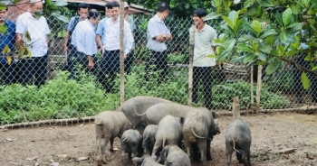 Đồng Nai: Đẩy mạnh ứng dụng tiến bộ khoa học kỹ thuật vào sản xuất nông nghiệp