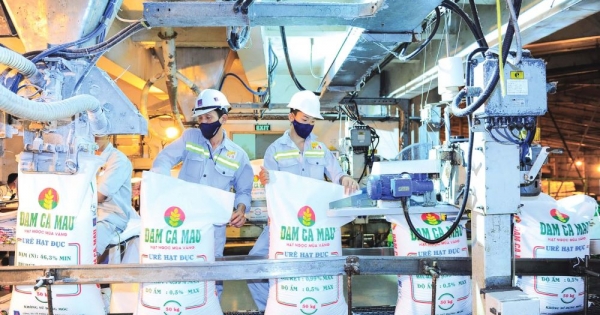 Đạm Cà Mau (DCM): Lãi ròng sau 6 tháng giảm 80%, nợ ngắn hạn tăng