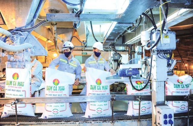 Đạm C&agrave; Mau (DCM): L&atilde;i r&ograve;ng sau 6 th&aacute;ng giảm 80%, nợ ngắn hạn tăng