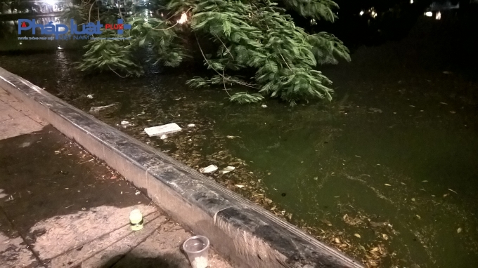 Thậm ch&iacute; r&aacute;c thải c&ograve;n được nhiều người