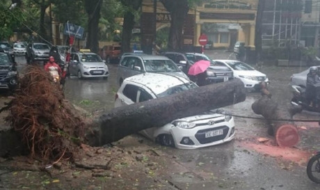 C&acirc;y xanh đổ g&acirc;y bẹp r&uacute;m xe hơi tr&ecirc;n đường phố H&agrave; Nội.