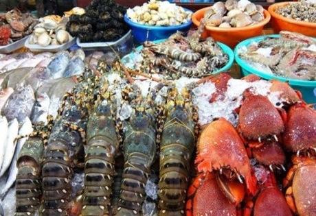 Ghé thăm những chợ hải sản nổi tiếng giá rẻ ở Việt Nam