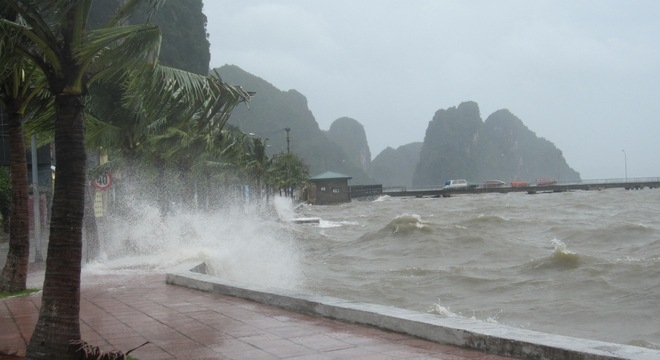 &nbsp;H&igrave;nh minh họa.