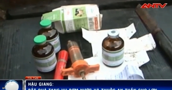 Dùng thuyền đưa lợn ra sông vắng để bơm nước