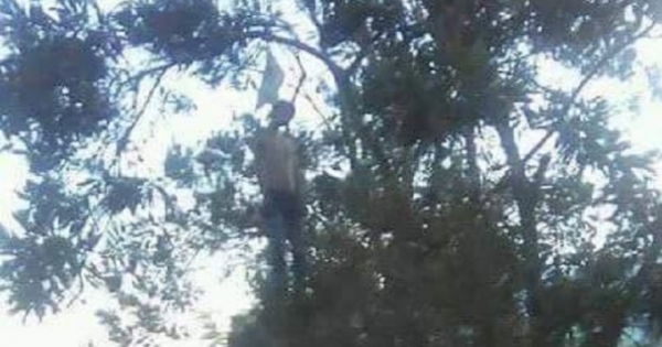 Hòa Bình: Bàng hoàng phát hiện nam thanh niên treo cổ trên cành cây