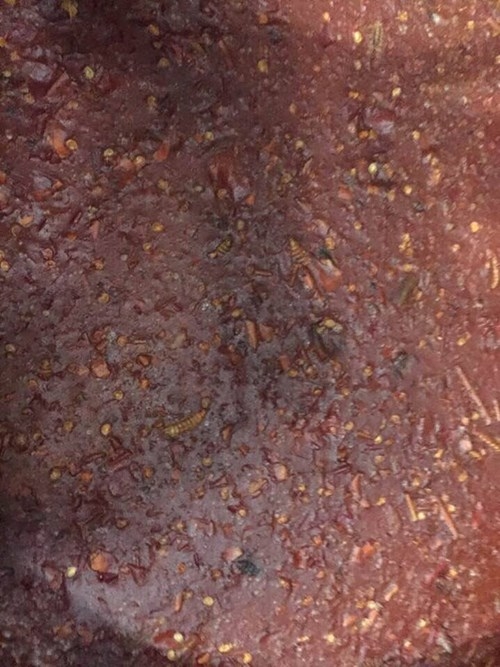 Gi&ograve;i b&ograve; l&uacute;c nh&uacute;c trong tương ớt