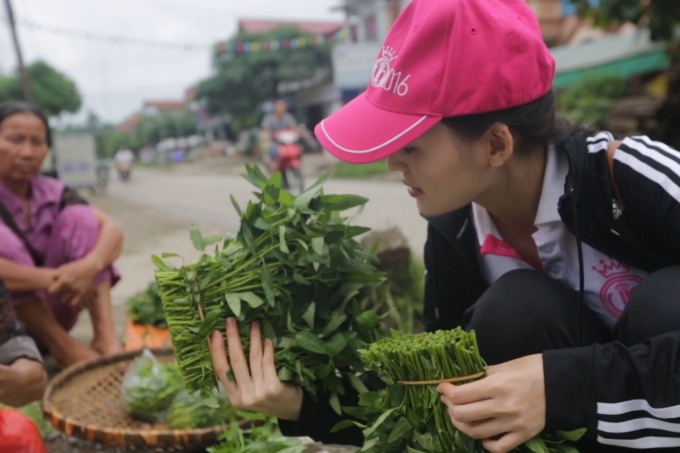 Hoa hậu Việt Nam 2016: Tr&aacute;c Th&uacute;y Mi&ecirc;u nhắc nhở, Chi Bảo bảo vệ th&iacute; sinh HHVN vụng về trước ống k&iacute;nh