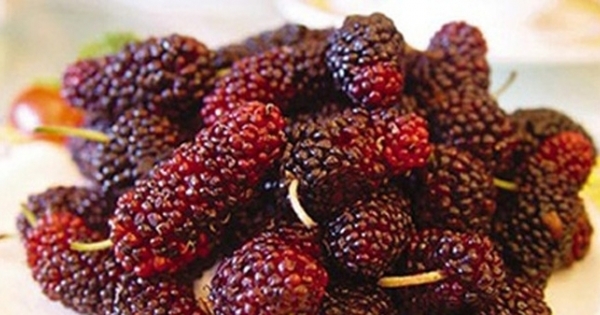 Những thực phẩm giúp thanh lọc cơ thể