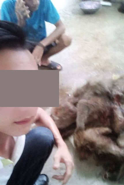 Vụ việc được ph&aacute;t gi&aacute;c bởi một nam thanh ni&ecirc;n khoe ảnh giết khỉ tr&ecirc;n facebook.