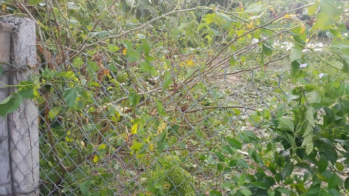 Hiện trường nơi xảy ra vụ việc thương t&acirc;m.