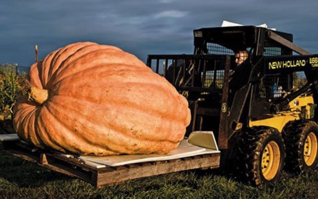 N&ocirc;ng d&acirc;n phải