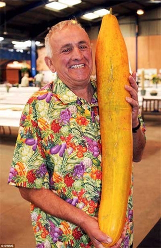 Quả dưa chuột d&agrave;i ngoại cỡ