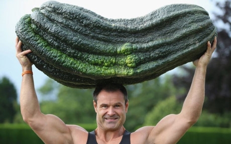 Quả b&iacute; khổng lồ một người b&igrave;nh thường kh&oacute; c&oacute; thể n&acirc;ng được